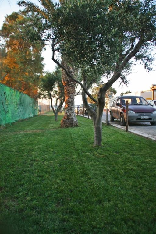 Creta Camping Gouves Bagian luar foto