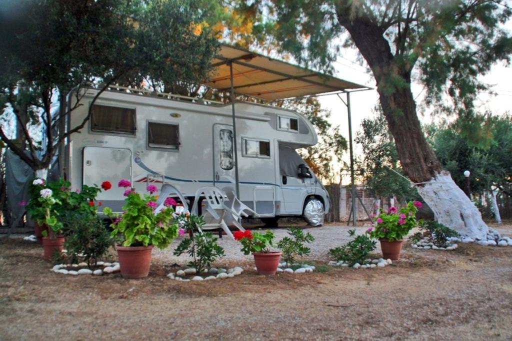 Creta Camping Gouves Bagian luar foto