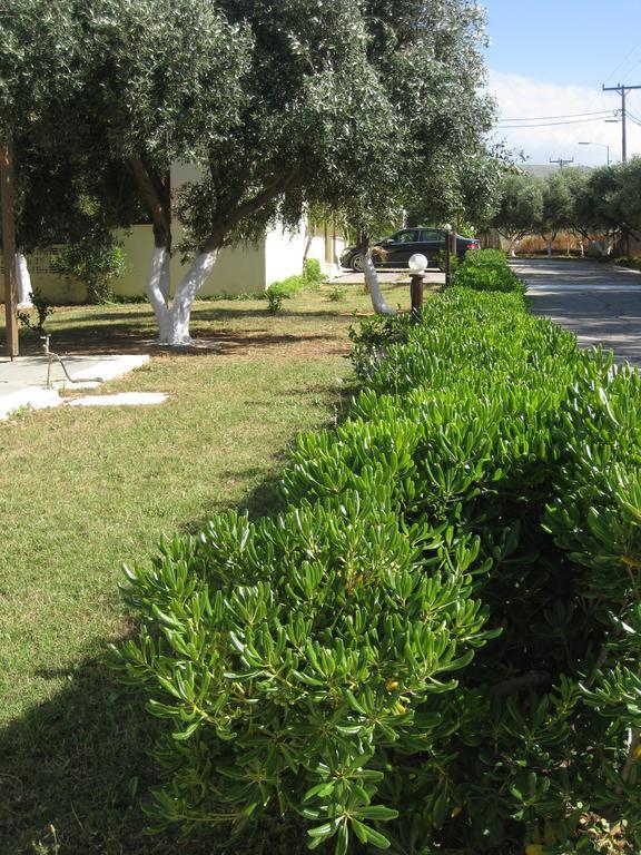 Creta Camping Gouves Bagian luar foto